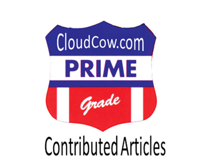 CloudCow Contributed Article